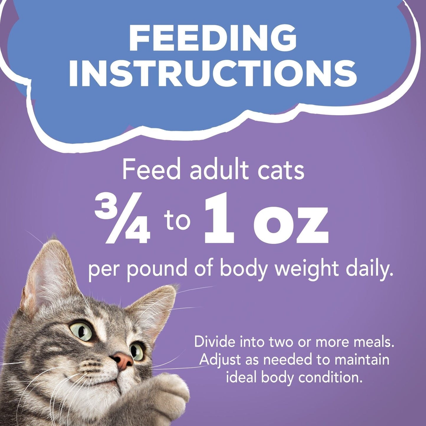 Purina Turkey and Cheese Wet Cat Food
