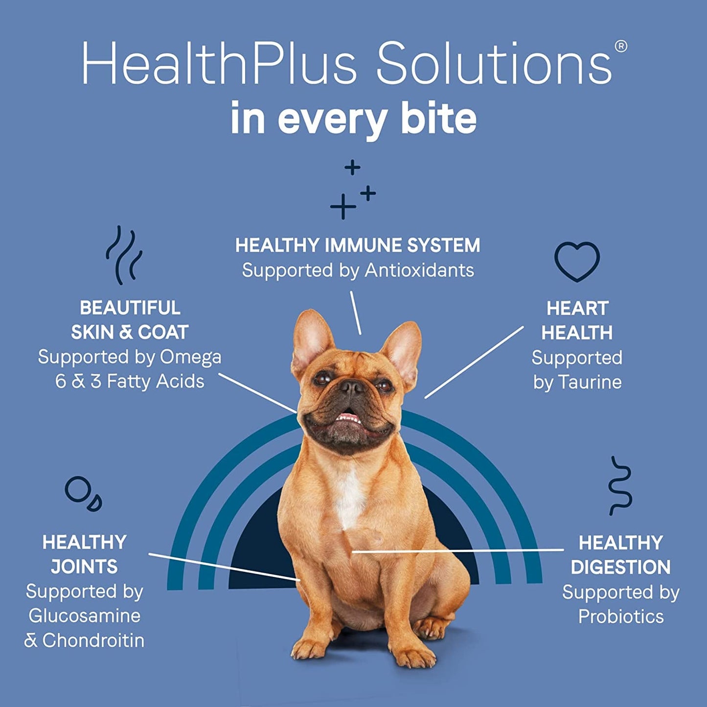 Pure Petite Freeze-Dried Raw Coated Dog Food Recipe with Real Salmon, 4 lbs