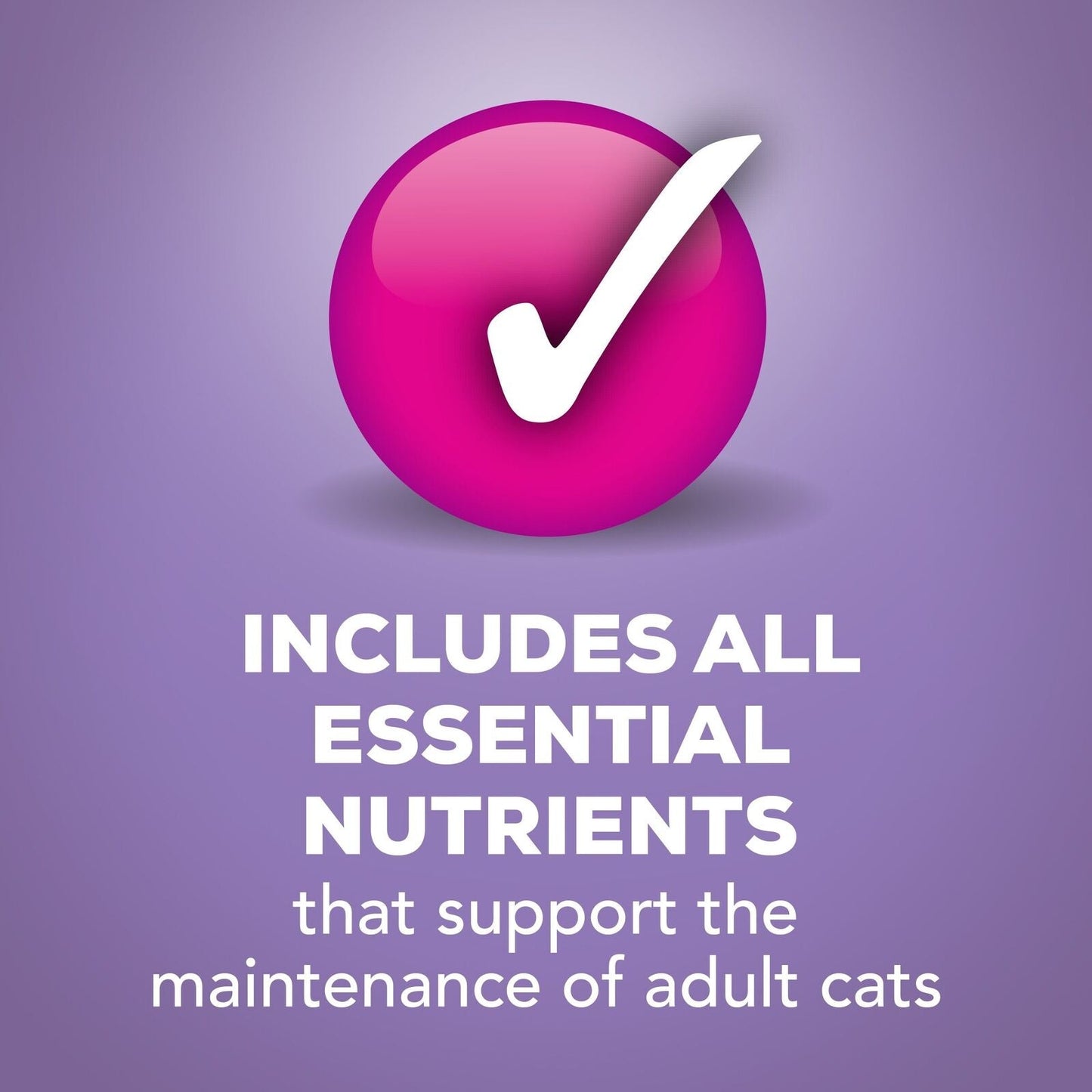 Purina Turkey and Cheese Wet Cat Food