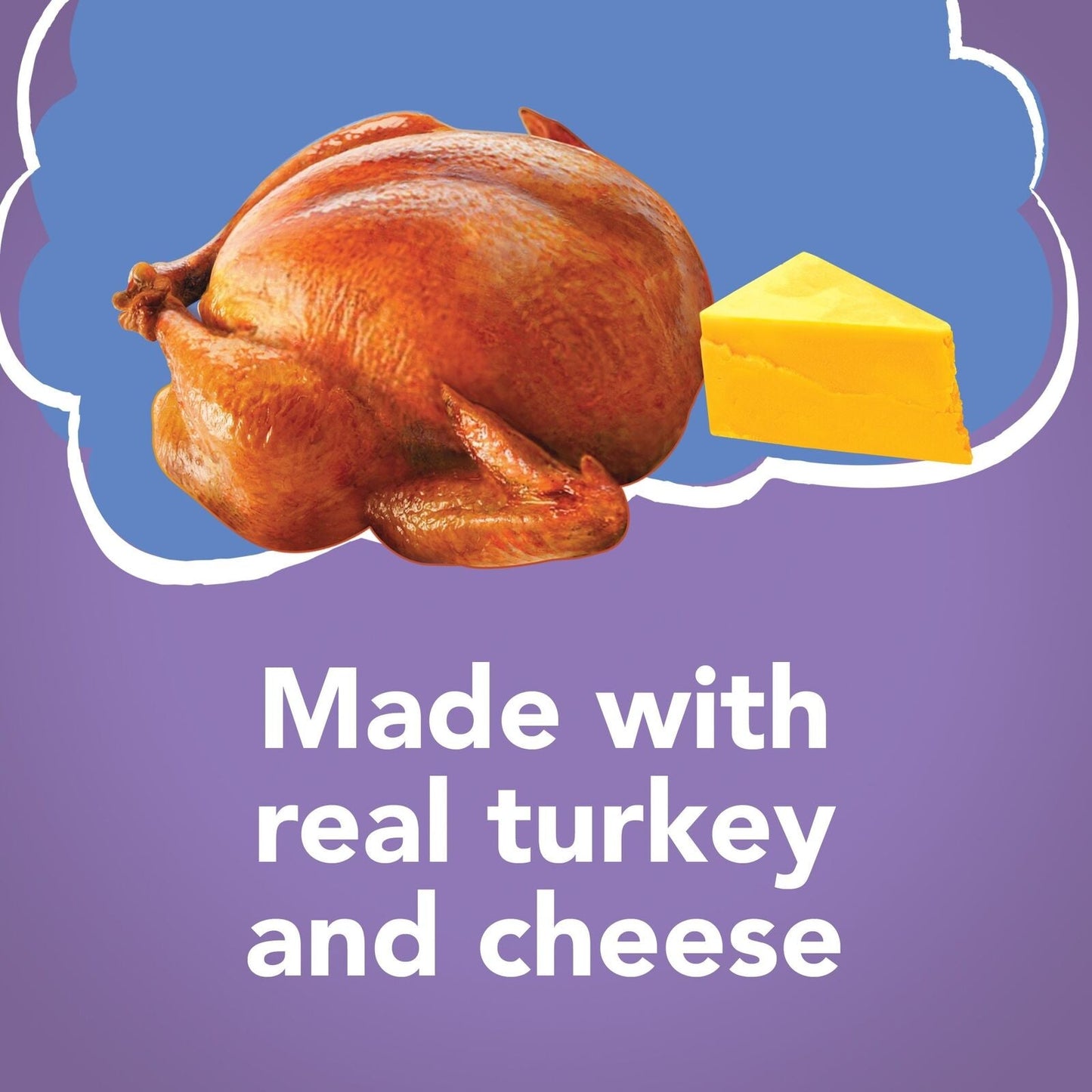 Purina Turkey and Cheese Wet Cat Food