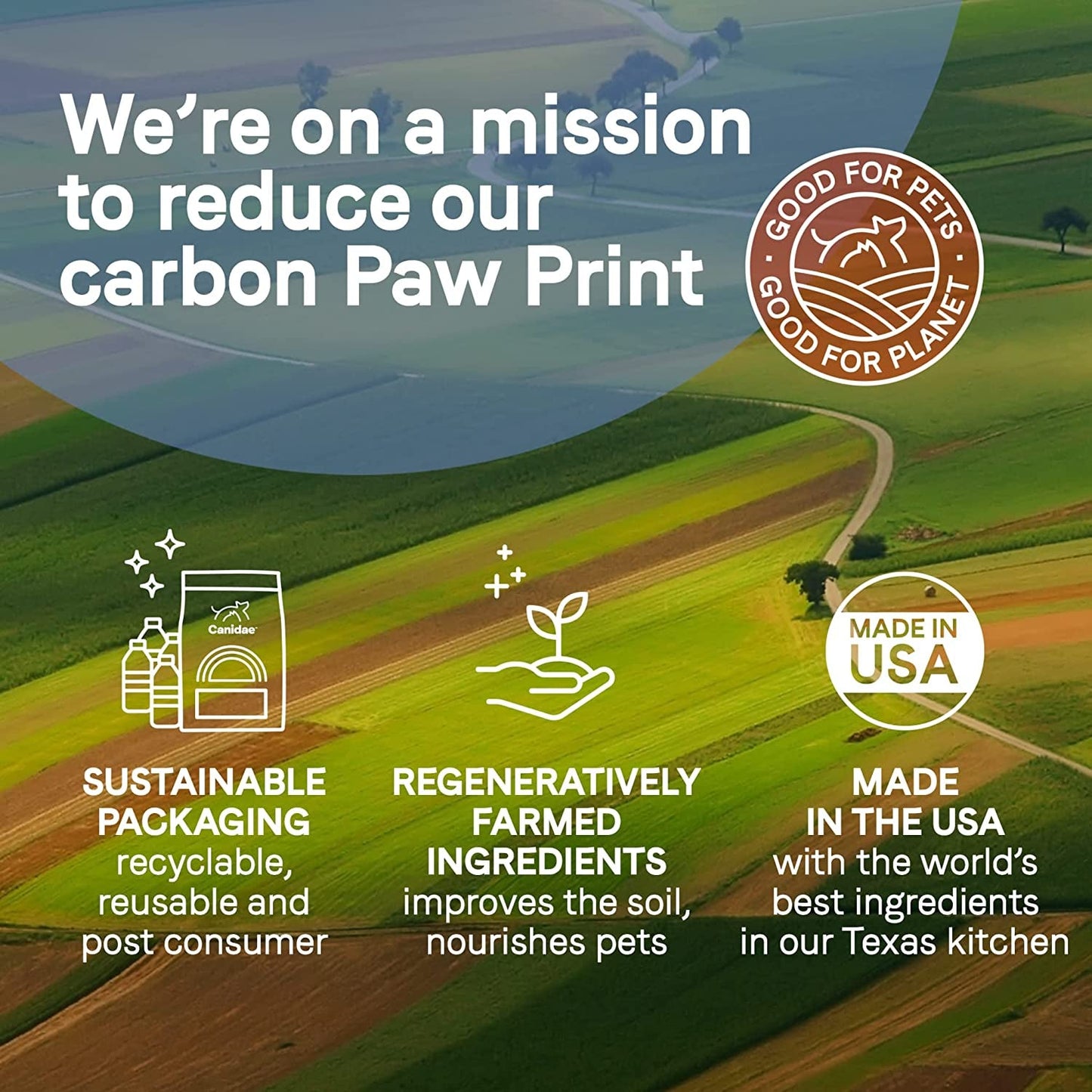 Pure Petite Freeze-Dried Raw Coated Dog Food Recipe with Real Salmon, 4 lbs