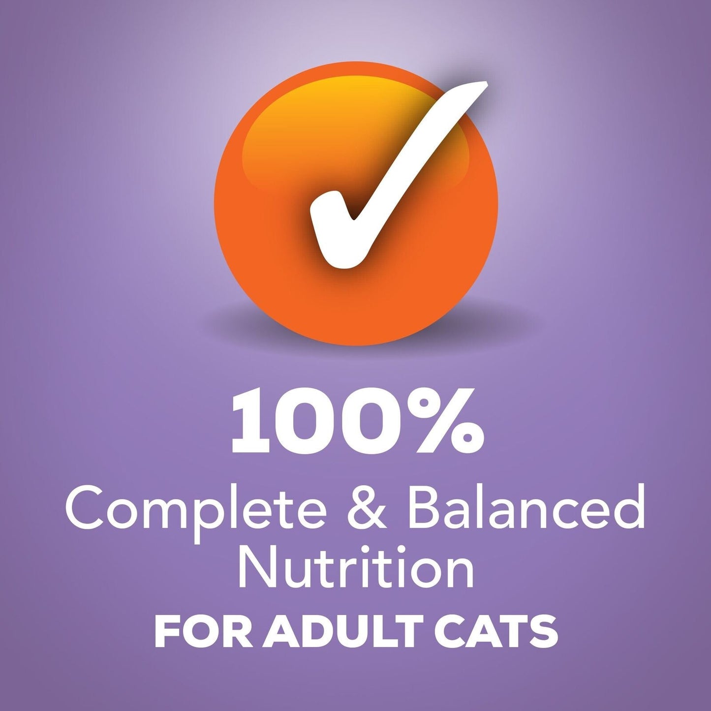 Purina Turkey and Cheese Wet Cat Food