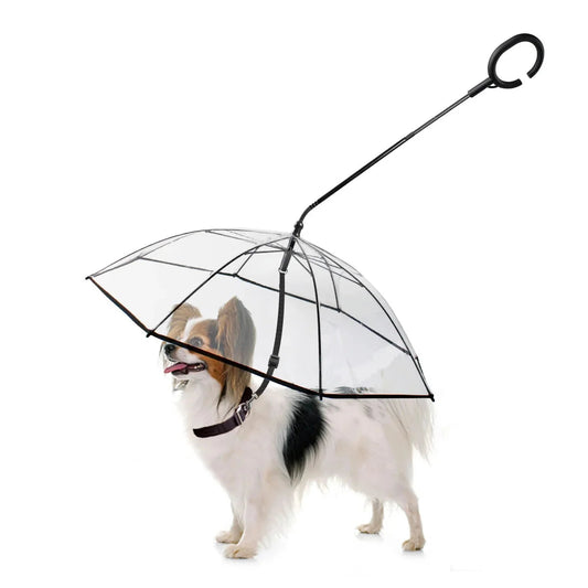 Rain Guard Dog Umbrella 